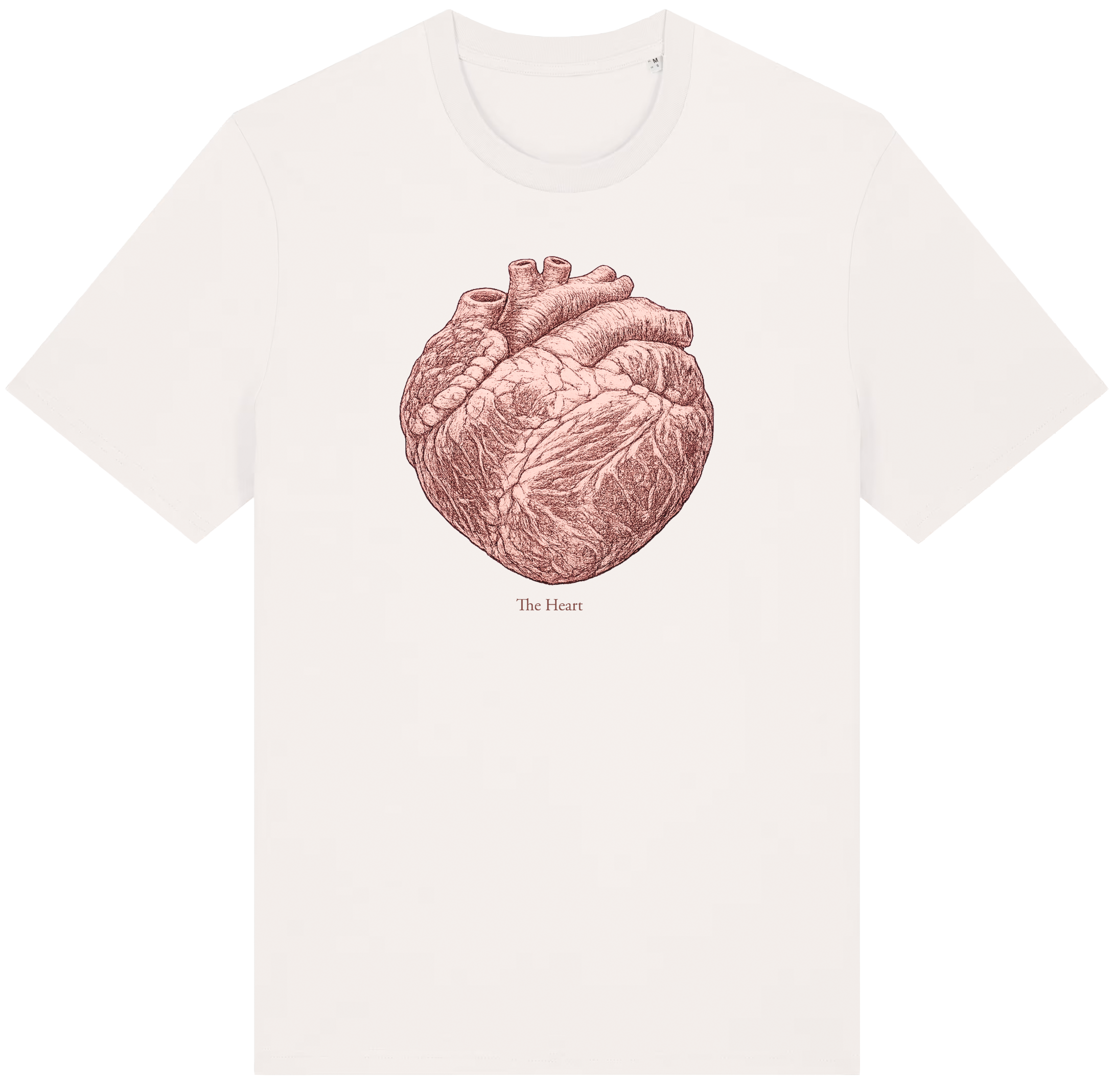 The Cut Collection: Beef