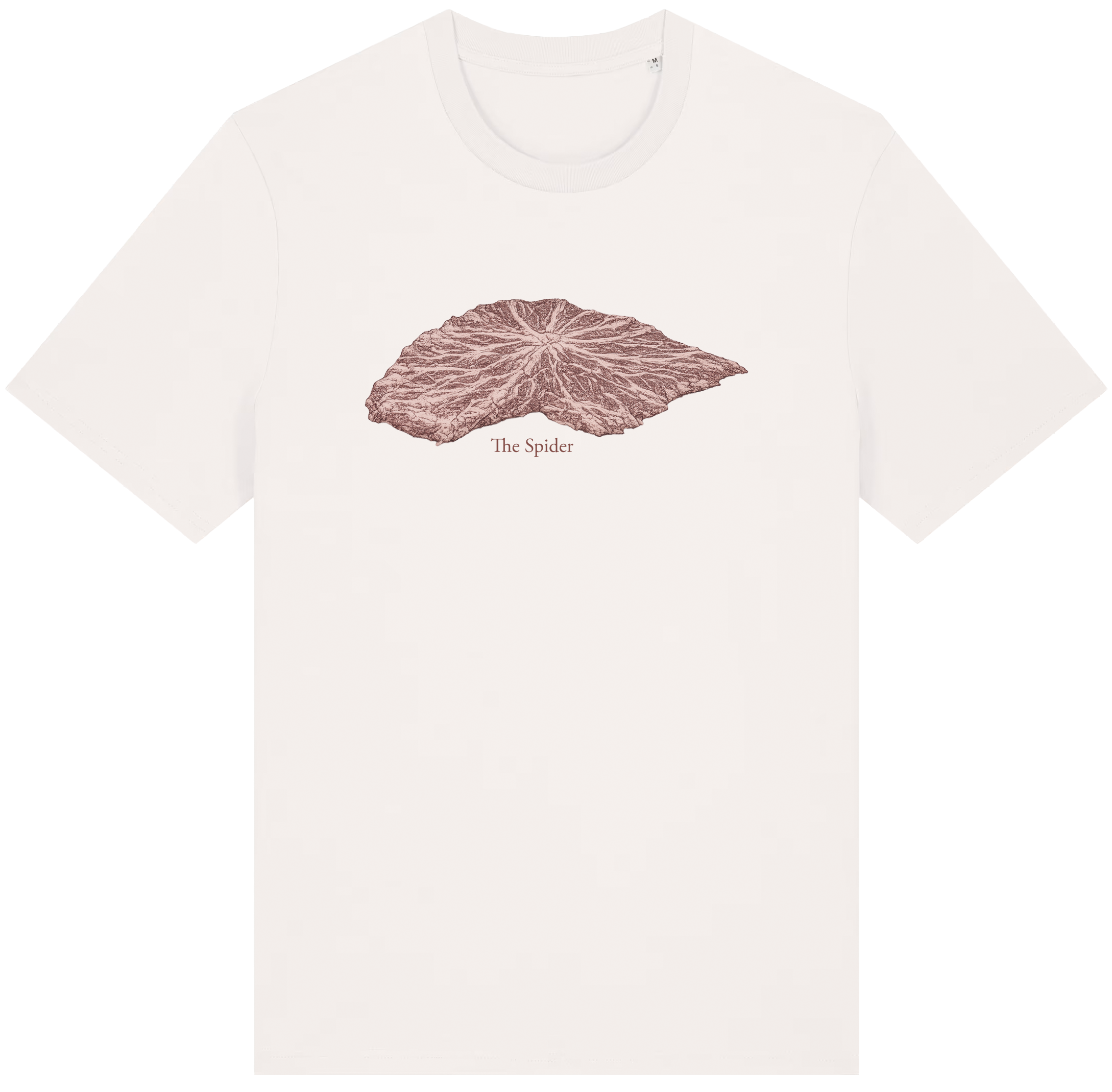 The Cut Collection: Beef
